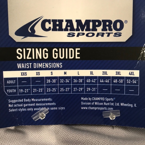 CHAMPRO Gray Royal Blue Baseball Uniform Pants - Picture 3 of 4